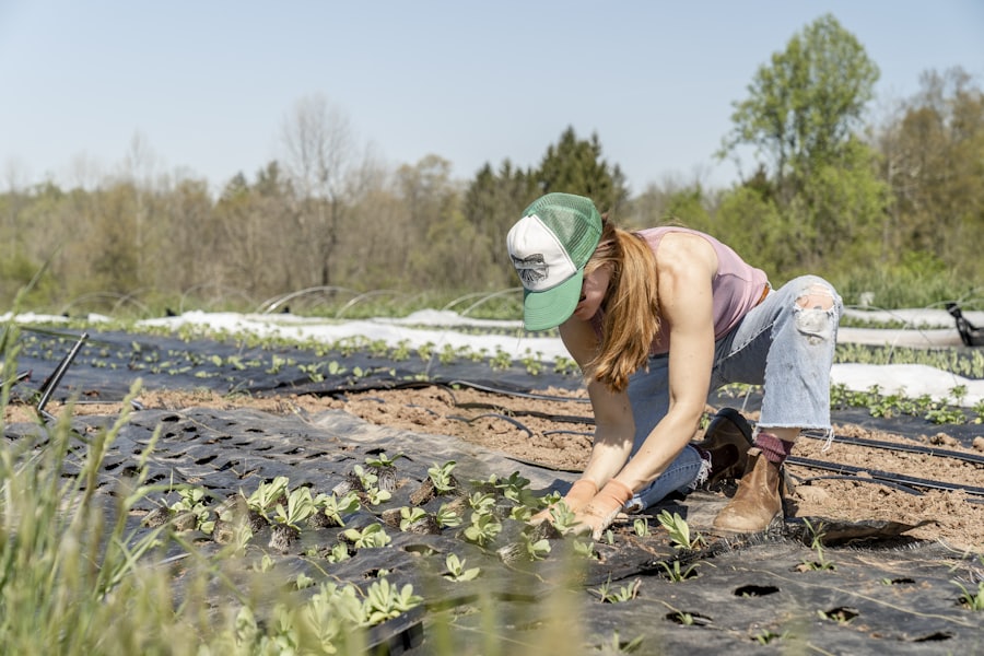 Farm Services — image 27